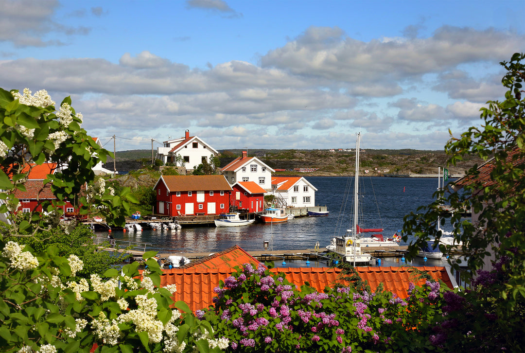 Munkeboviken Öresjö Trollhättan av Asmundur Sveinsson