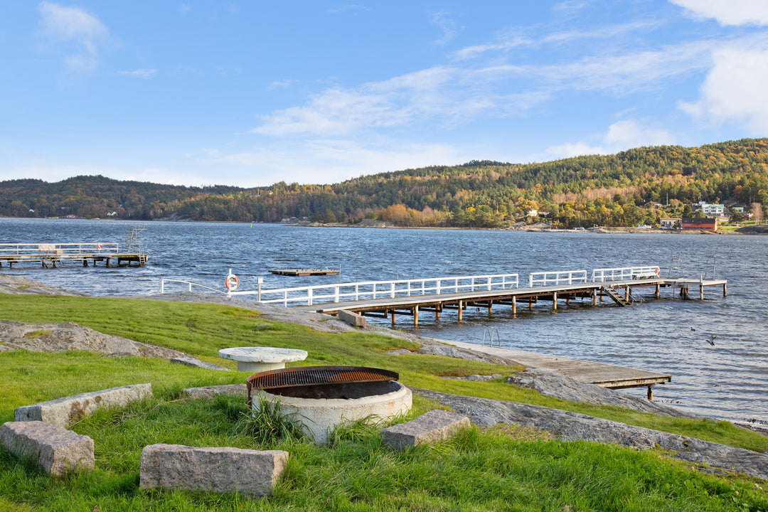 Svanesund av Asmundur Sveinsson