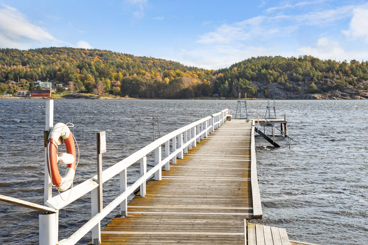 Svanesund av Asmundur Sveinsson