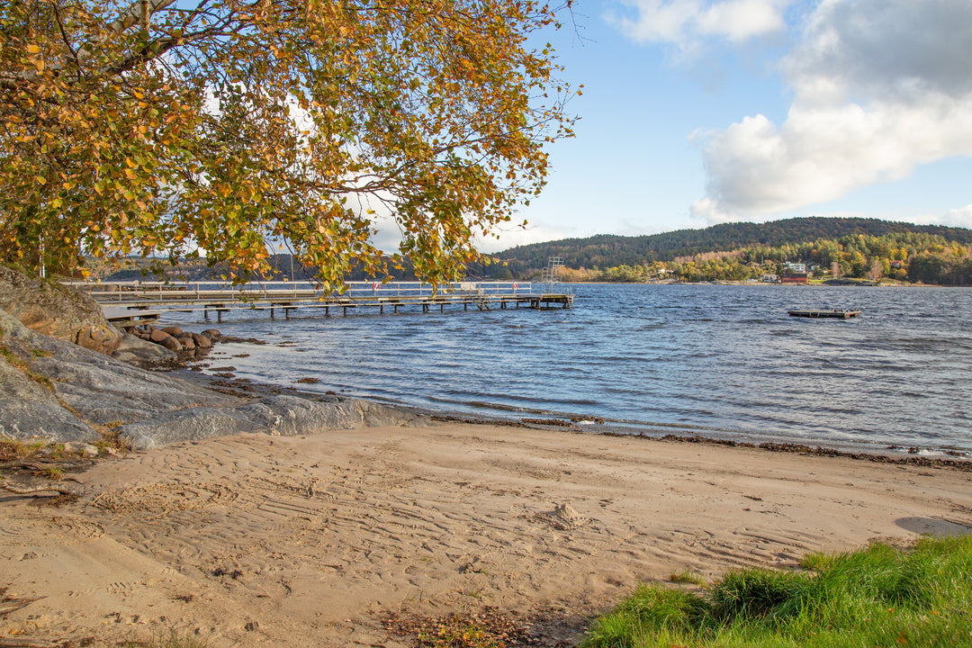 Svanesund av Asmundur Sveinsson